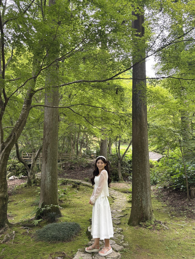아름답게 잘 가꿔진 정원때문에 다시 오고싶은 곳🌳🔥