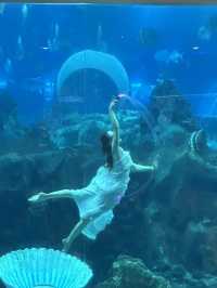 🐬 Fun & Budget-Friendly: Changsha Sea World🪼