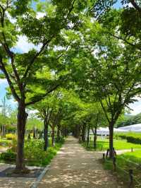 인천대공원 산책로