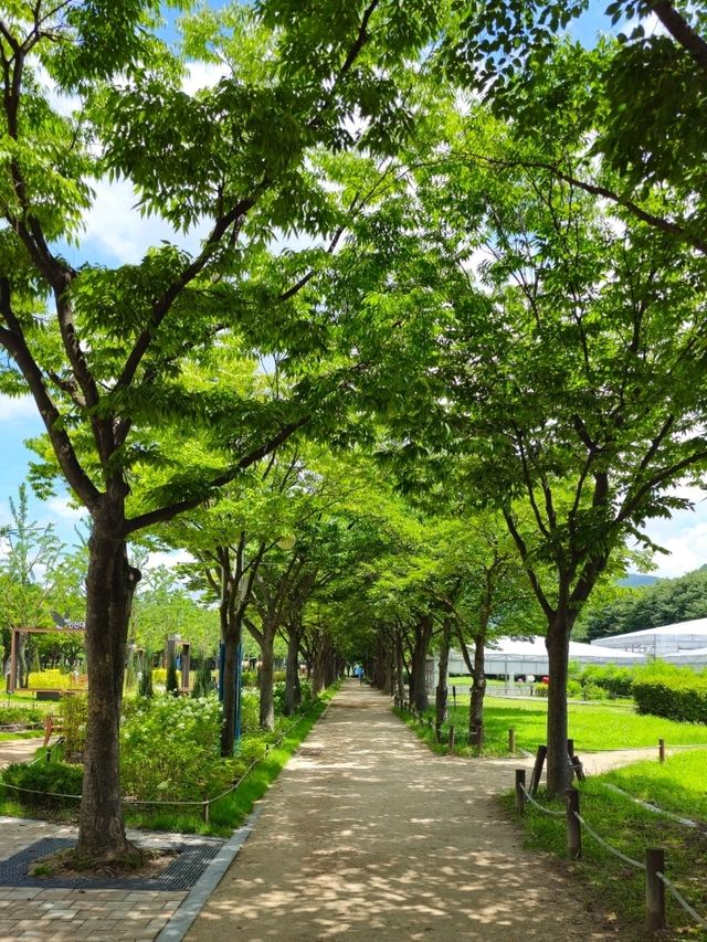 인천대공원 산책로
