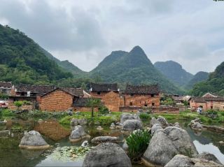 Yuankou Ecological 🌺 