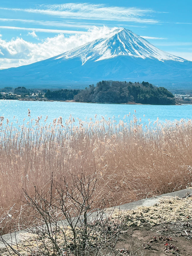 富士山河口湖