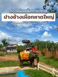 ปางช้างเผือกหาดใหญ่