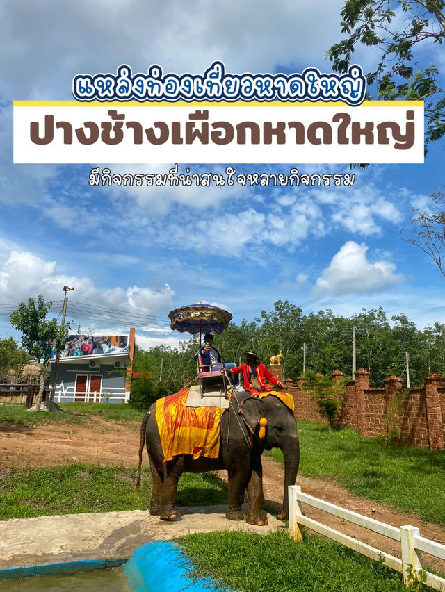 ปางช้างเผือกหาดใหญ่