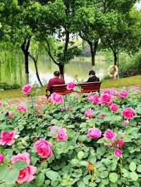 Baima Lake Park – Hangzhou’s Lakeside Oasis of Art & Nature
