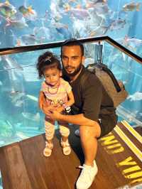 KL's Oceanic Marvel: Aquaria KLCC
