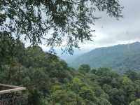 First Valley Coffee Estate