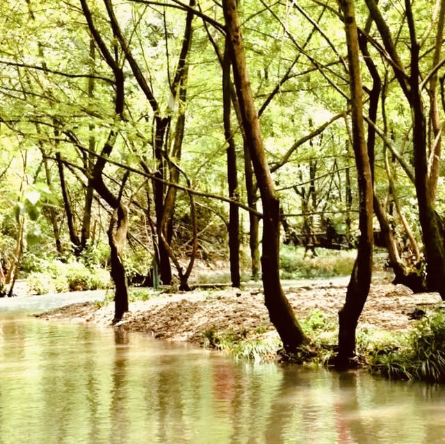 *Xianning: Hot Springs & Bamboo Seas in Hubei Province