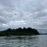 Where the Island Breathes – A Langkawi Story