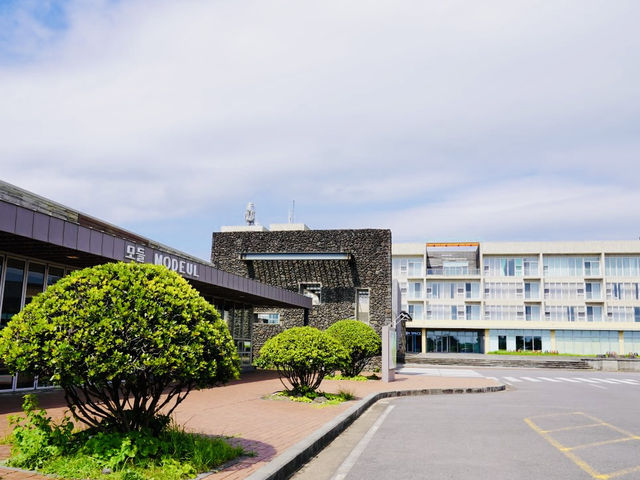 Commanding Views of the Ocean and Nearby Coastline