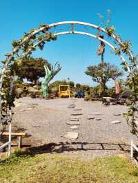 A Charming Farm with Delightful Animal Encounters