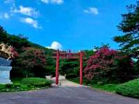 Daegu Park