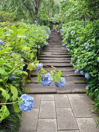 繡球花廟