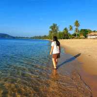 ชายหาดที่มีดอกไม้สีม่วง