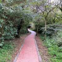 Discover Tranquility on the Erziping Trail