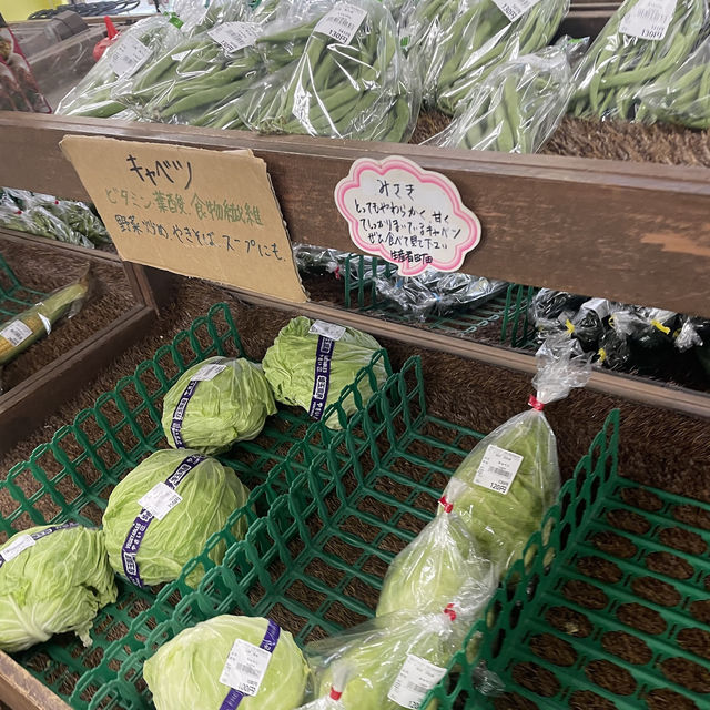 【埼玉/川越🇯🇵】美味しくて安心な野菜を🥬伊佐沼農産物直売所