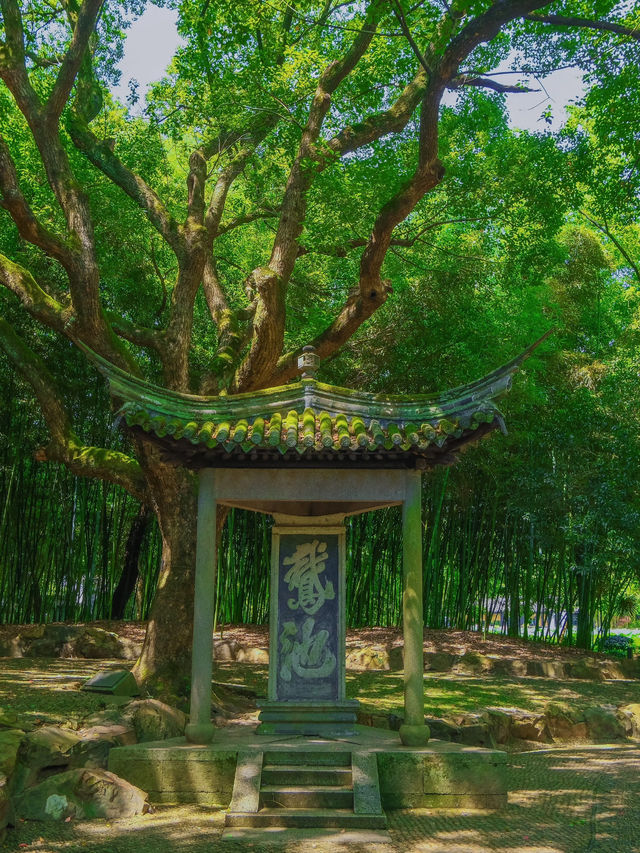 🏯 Shaoxing Travel Guide — Ancient Charm & Water Town Beauty