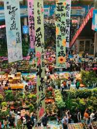 Blossom Wonderland of Dounan