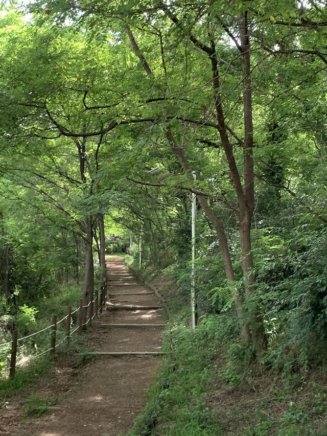 영종도 바다