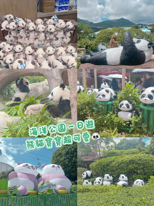 海洋公園一日遊 ｜熊貓寶寶超可愛🐼