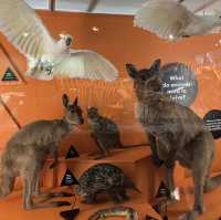 🇦🇺メルボルン博物館の恐竜にびっくり。