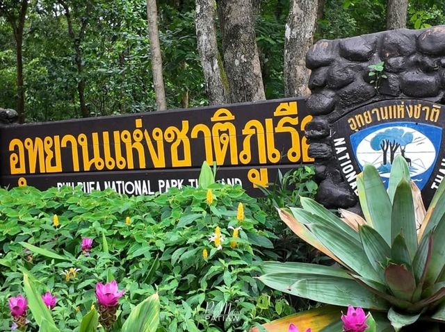รับลมหนาว อุทยานแห่งชาติภูเรือ เลย