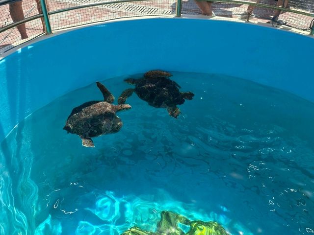 海洋博公園
