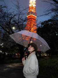 จุดชมซากุระใกล้ Tokyo Tower🗼 