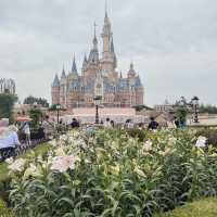 เที่ยว Shanghai Disneyland สบาย ๆ เน้นถ่ายรูป