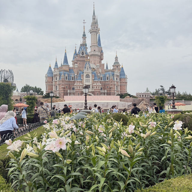 เที่ยว Shanghai Disneyland สบาย ๆ เน้นถ่ายรูป