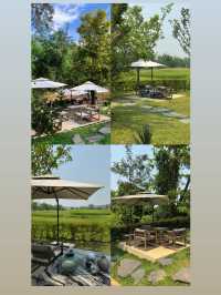 คาเฟ่เปิดใหม่  Taan Forest ใกล้น้ำตกขุนกรณ์