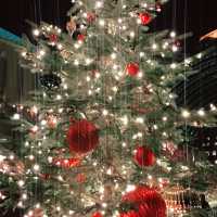 🎄✨ 恵比寿ガーデンプレイス 2024クリスマス振り返り&2025予測 ✨🎄