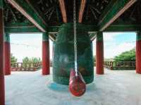 A Sacred Gaze at Seokguram Grotto