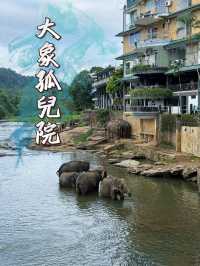 能看大象沐浴🛁的酒店🏨 旅程中最有愛的活動