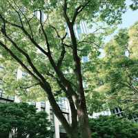 横浜媽祖廟の裏の公園と関帝廟通りグルメ散策