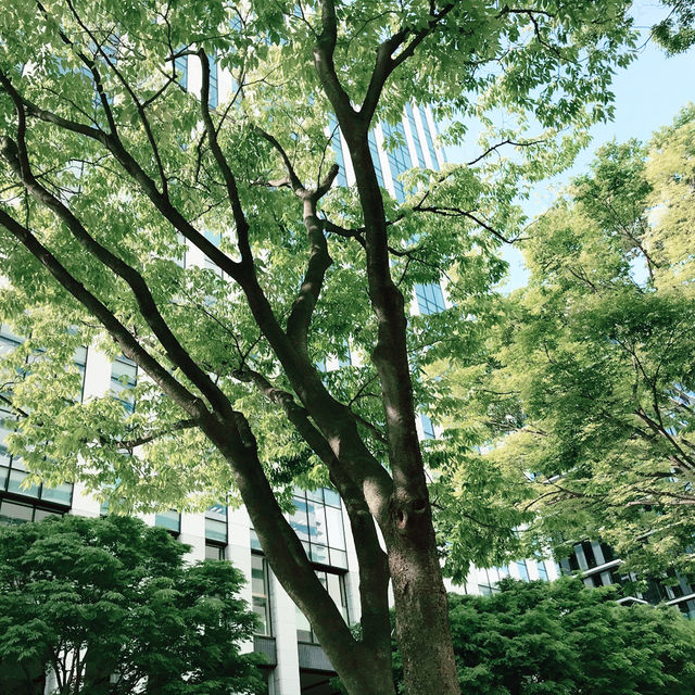 横浜媽祖廟の裏の公園と関帝廟通りグルメ散策 横浜媽祖廟の裏の公園と関帝廟通りグルメ散策