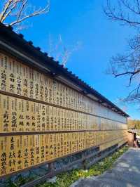 วัดดารุมะ หรือ Katsuoji Temple โอซาก้า