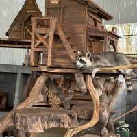 Exploring Mongo Land ĐlDa Lat – Fun, Photos, and a Touch of Mongolia