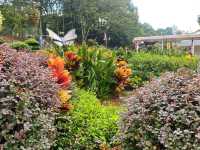 Laman Bromeliad at Taman Botani Putrajaya – A Tropical Gem in the Heart of Malaysia’s Botanical Gard