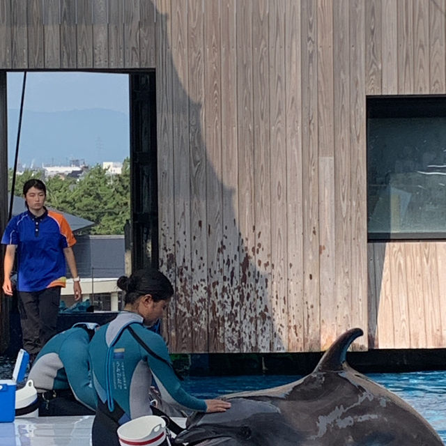 長岡花火の翌日に寄り道！癒しのうみがたり水族館❤️