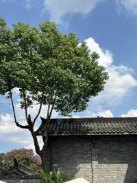 Chengdu’s Kuan Zhai Alley: Where History Meets Modern Buzz