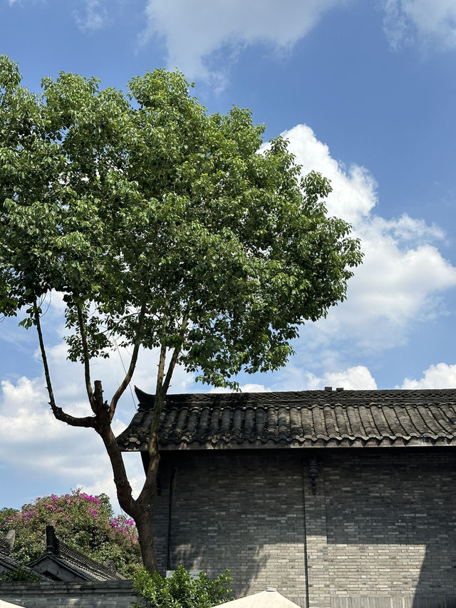 Chengdu’s Kuan Zhai Alley: Where History Meets Modern Buzz