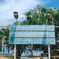 จุดชมวิวกังหันลม Windmill Viewpoint
