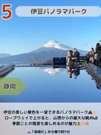 【関東圏】ここガチでよかった😳上半期スポットランキング2025最強6選💪🌿🌸