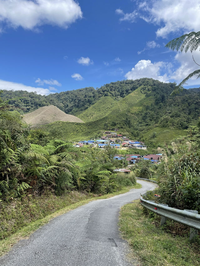 Cameron Highlands - city in the mist