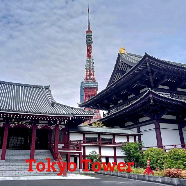 เดินเที่ยวริบTokyo Tower🗼 เดินเที่ยวริบTokyo Tower🗼
