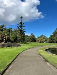 My Stroll Through Royal Botanical Gardens Sydney