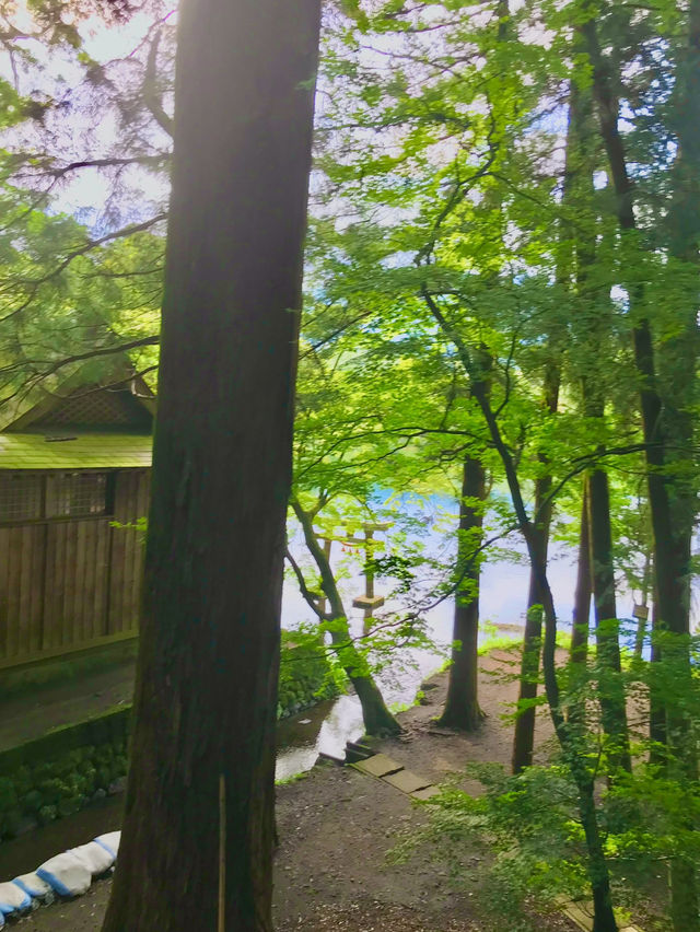 유후인의 보석, 킨린호수 옆 신사 산책 ⛩️✨