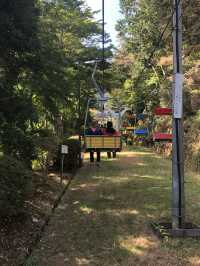 🚡高尾山一日遊：纜車體驗×登山散策×美食享受