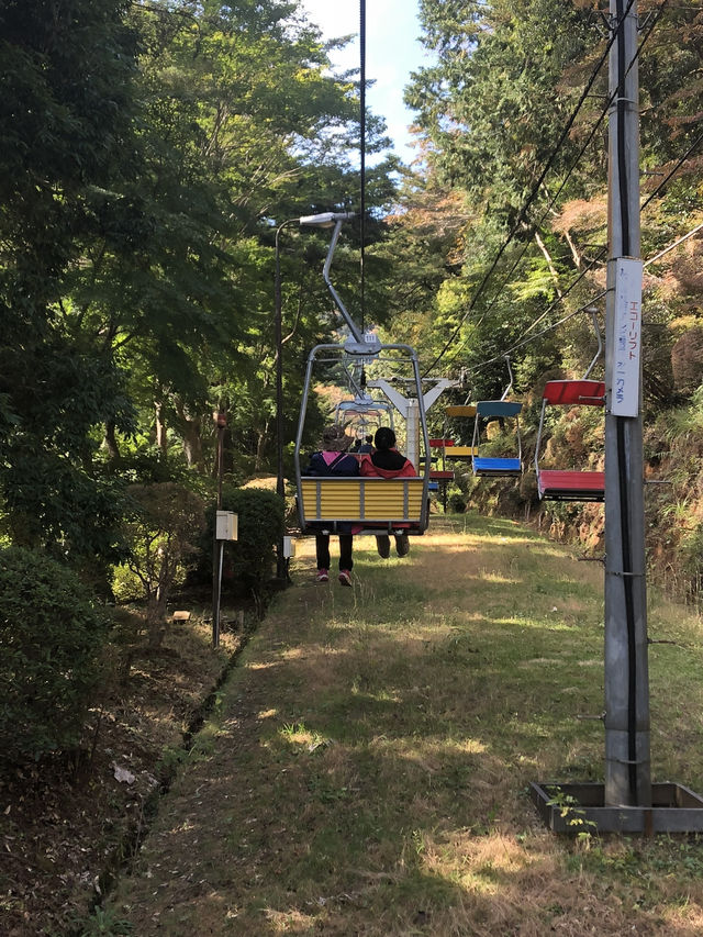 🚡高尾山一日遊：纜車體驗×登山散策×美食享受